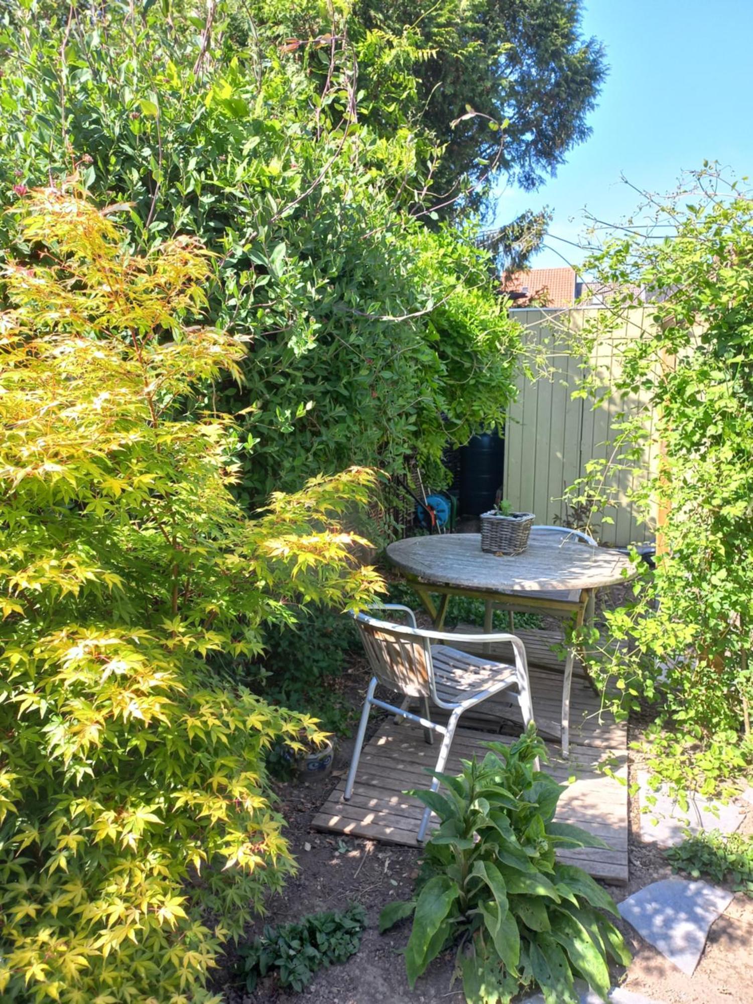 Villa On-Ge-WoonAd Hasselt  Esterno foto